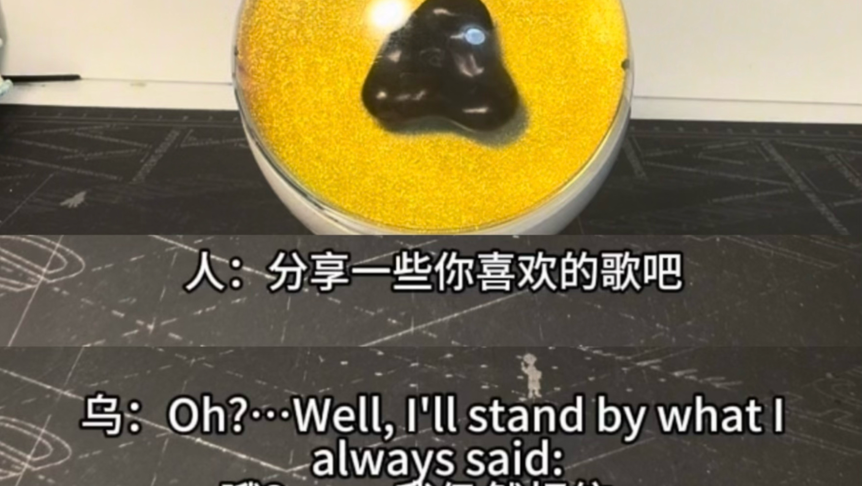 小 乌 同 学