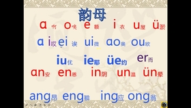 复韵母ɑo Ou Iu及其音节拼读 汉语拼音学习 一年级语文 哔哩哔哩 つロ干杯 Bilibili