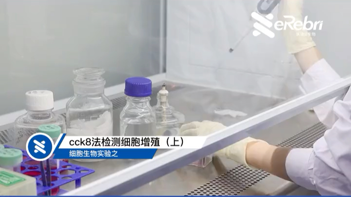 [图]细胞生物实验:cck8法检测细胞增殖#广州医瑞贝生物#实验#科研