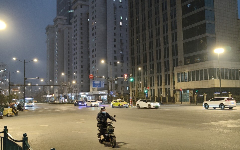 浦东大道苗圃路图片