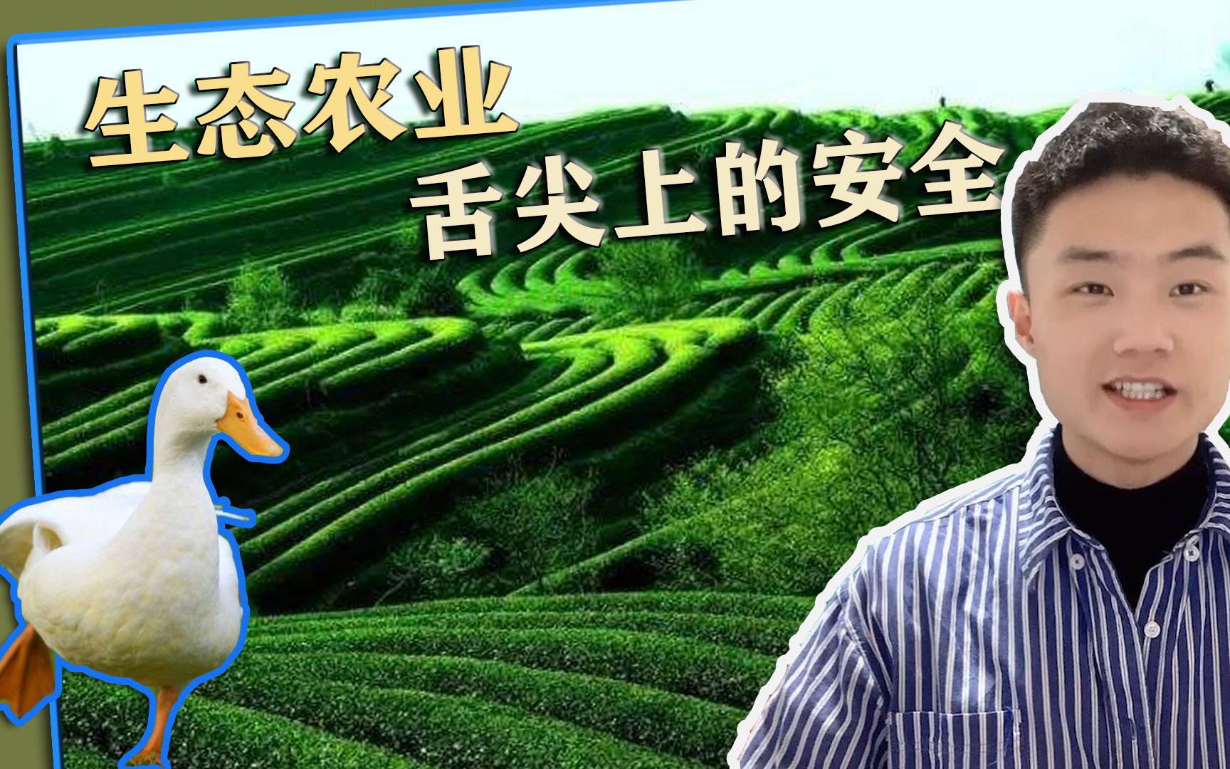 生态农业丨舌尖上的安全哔哩哔哩bilibili