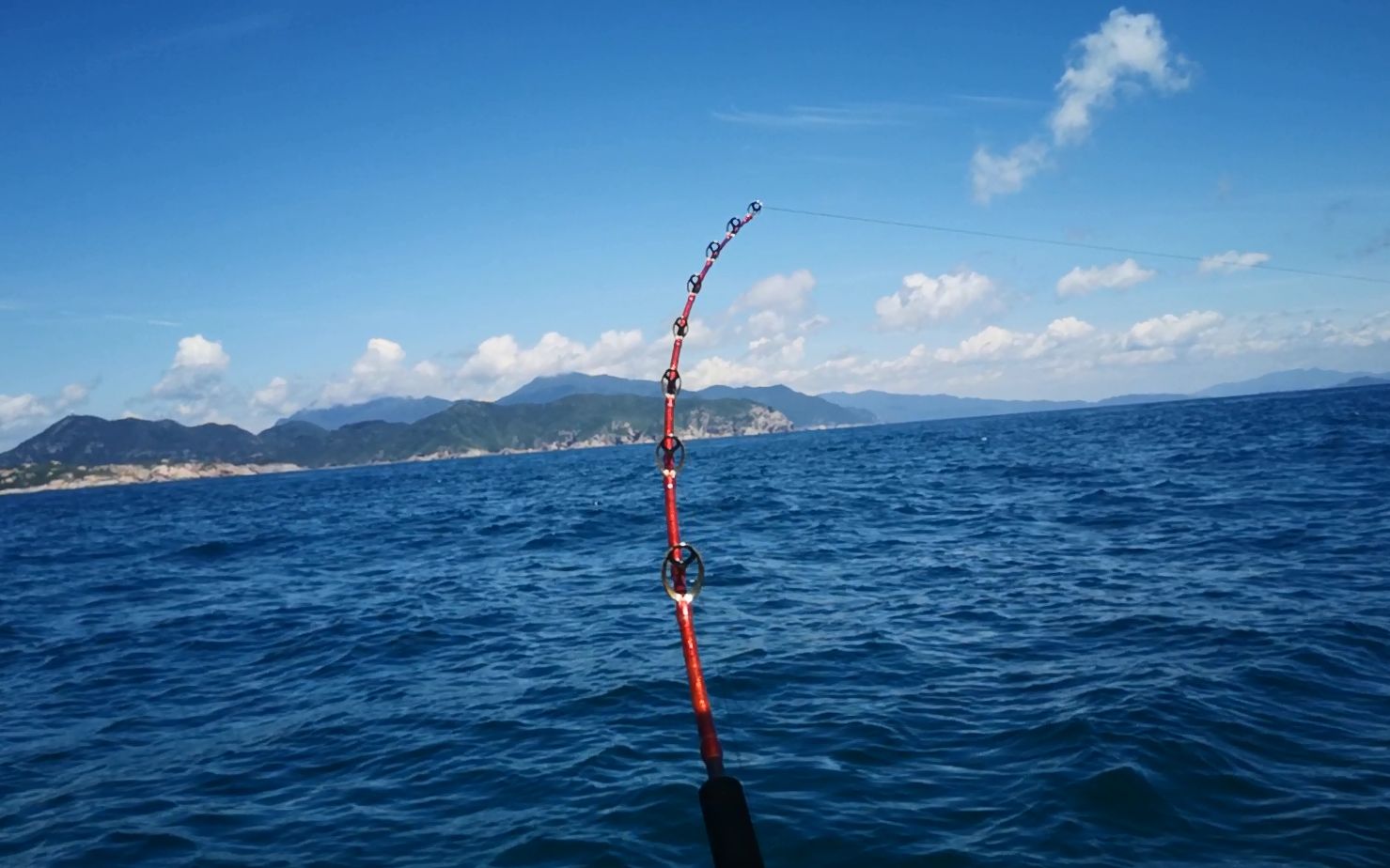 萌新入坑海钓很简单!不用虾不用虫,这种钓法让你马上中毒_哔哩哔哩_bi