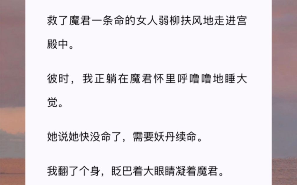 救了魔君一条命的女人弱柳扶风地走进宫殿中.彼时,我正躺在魔君怀里呼噜噜地睡大觉.她说她快没命了,需要妖丹续命.我翻了个身,眨巴着大眼睛凝着...