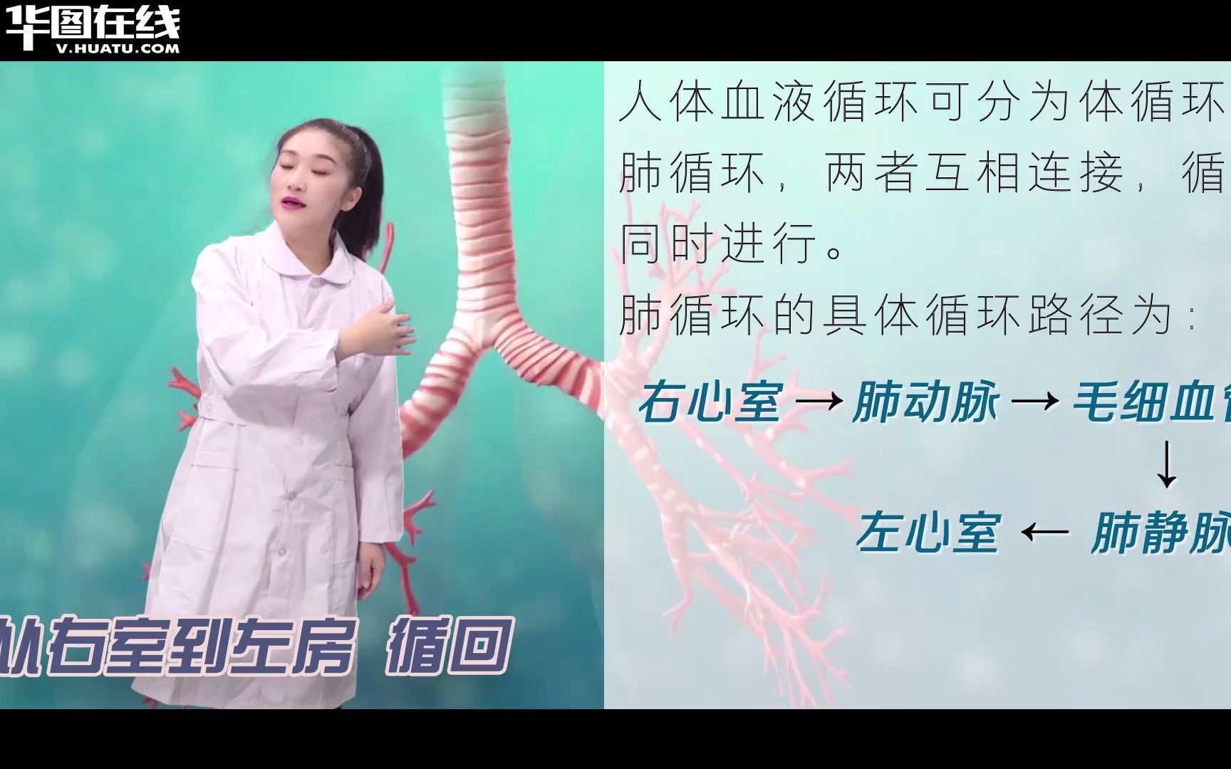 普京希望我国调解俄乌抵触 外交部回应 努力于劝和促谈