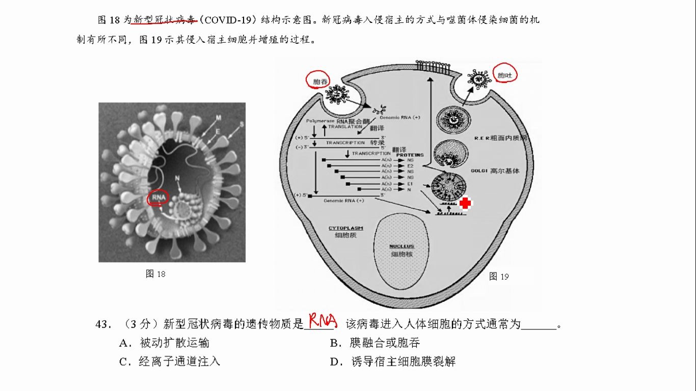 2020生物二模黄浦区综合题——(五)哔哩哔哩bilibili