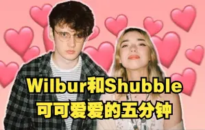 Video herunterladen: 【MCYT/Wilbur/中文字幕】Wilbur和Shubble可可爱爱的五分钟