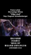 Video herunterladen: 雷哈尔《风流寡妇》“维利亚之歌” 著名女高音 达格玛.舒伦贝格