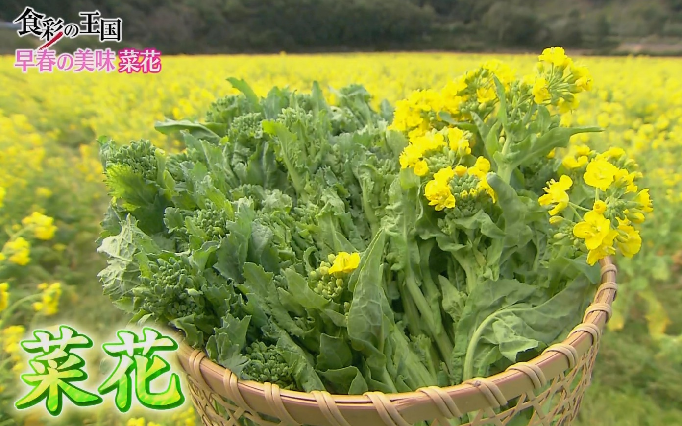 [图]2023.03.04 食彩の王国「春を告げる“南房総の菜花"…匠の華麗な菜花フレンチ」