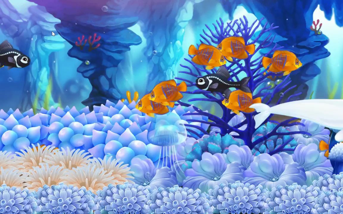 鱼乐园 - 闲置水族馆fish paradise - idle aquarium