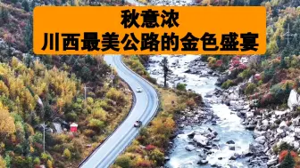 Video herunterladen: 秋意浓，川西最美公路的金色盛宴