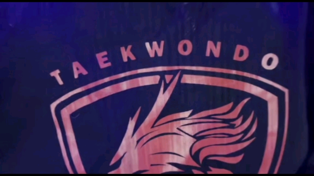 中国龙队跆拳道示范团-林秋楠作品_哔哩哔哩_bilibili