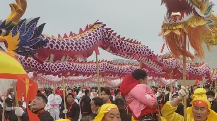 [图]2月初2龙灯会