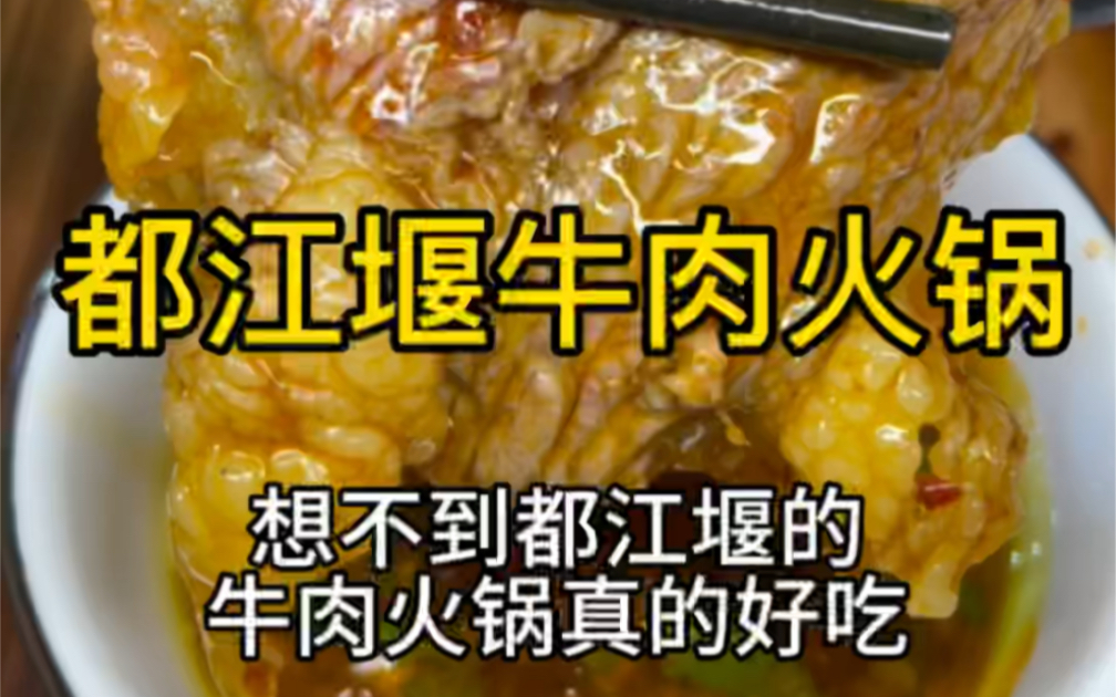 都江堰社区牛肉火锅真的好吃,人均50吃到饱!哔哩哔哩bilibili