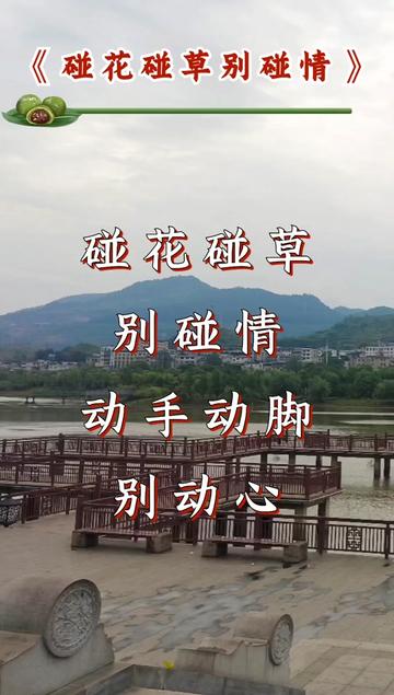 碰花碰草别碰情#动手动脚别动心