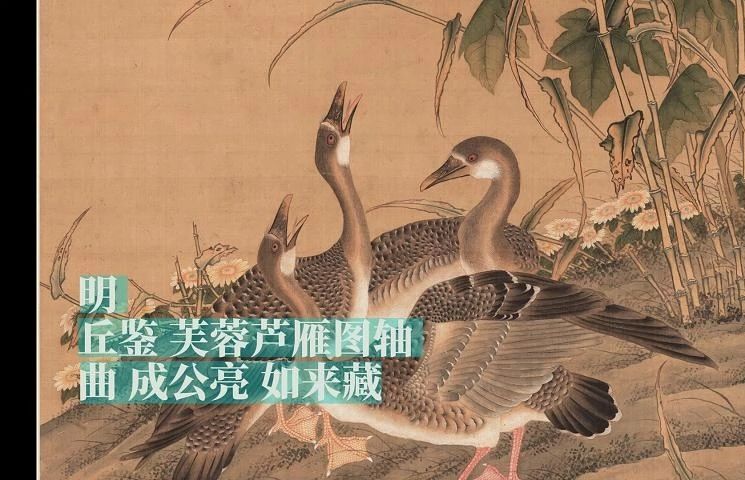 [图]3月23日【古画古风 修身养性 恬然淡薄】明 丘鉴 芙蓉芦雁图轴