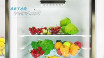 害怕屯菜滋生细菌，那你肯定没选对冰箱