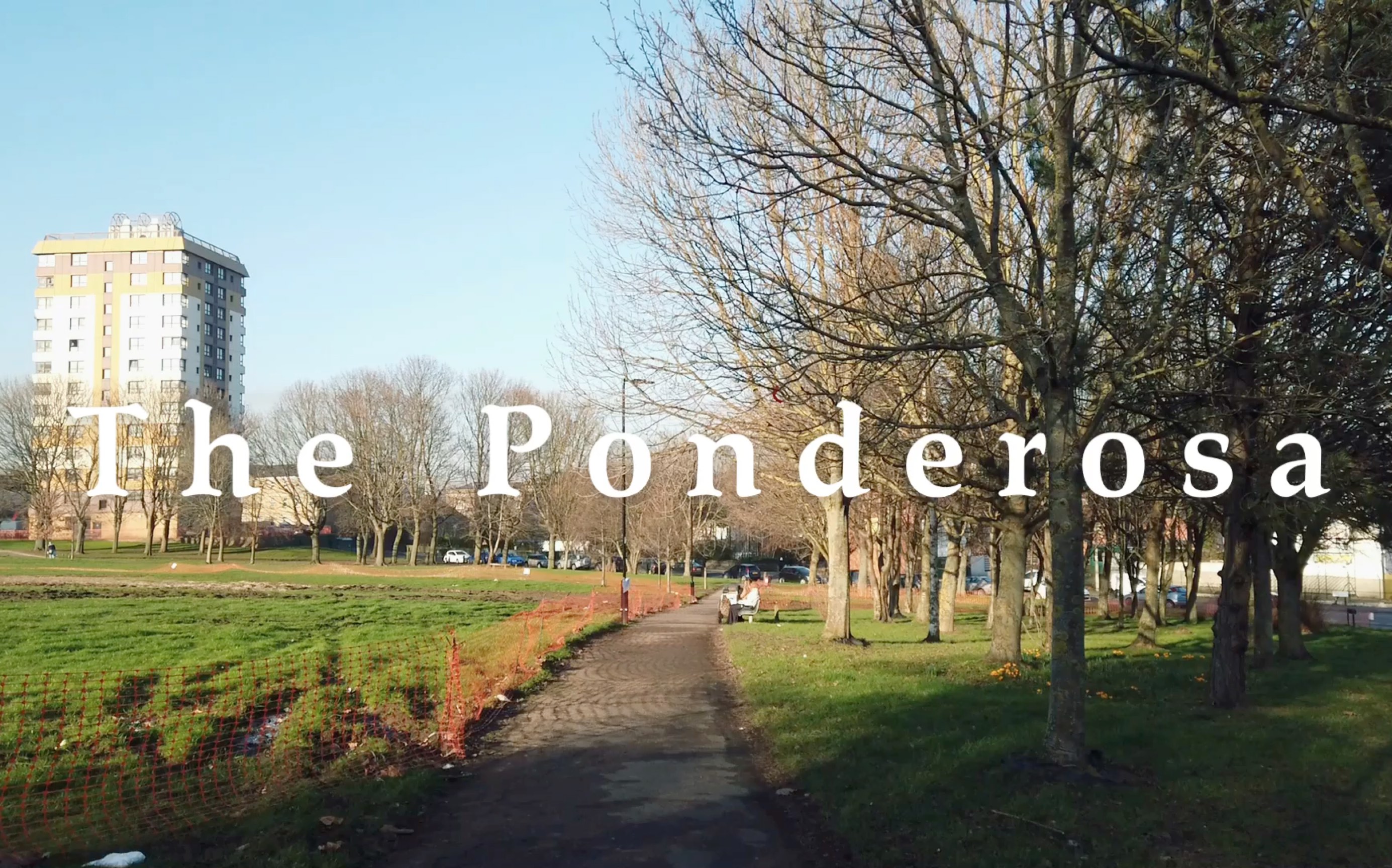 the ponderosa丨每周采购的必经之处_哔哩哔哩_bilibili