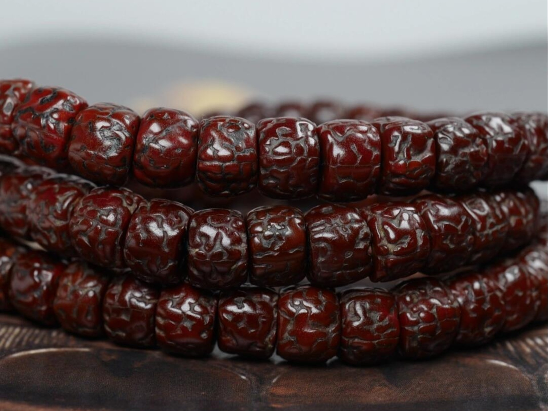 老金刚菩提欣赏