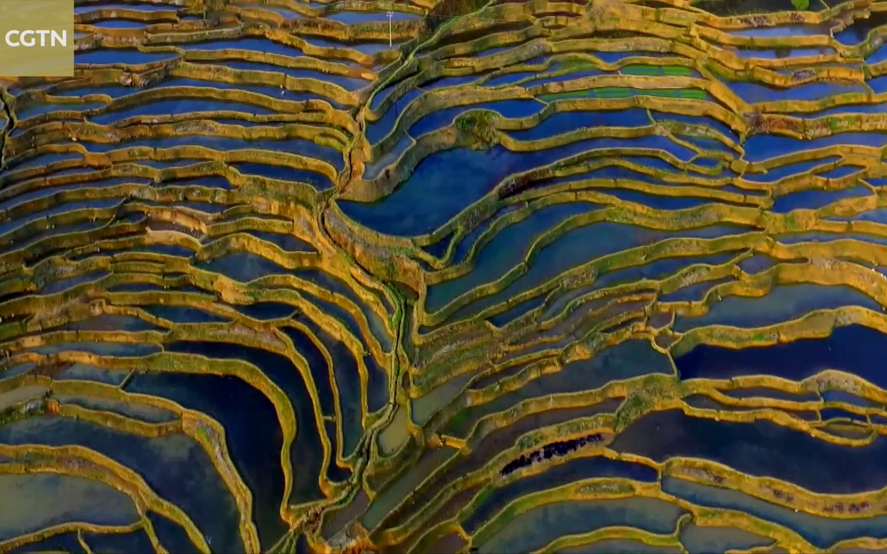 [图]金秋时节来看绝美“大地油画”：航拍云南醉美哈尼梯田