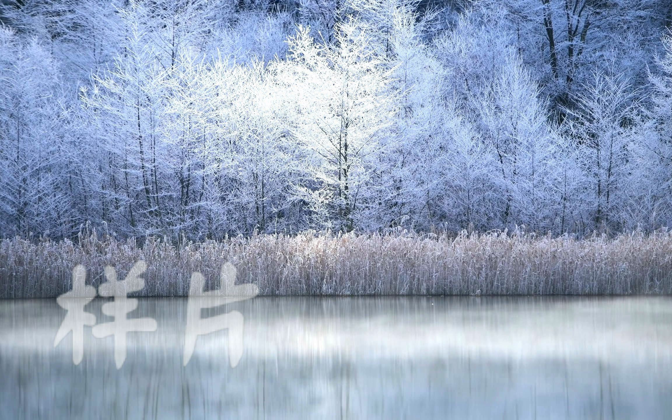 大屏素材 v14 2k分辨率唯美小清新雪山雪景冬季飘雪景色视频素材哔哩哔哩bilibili