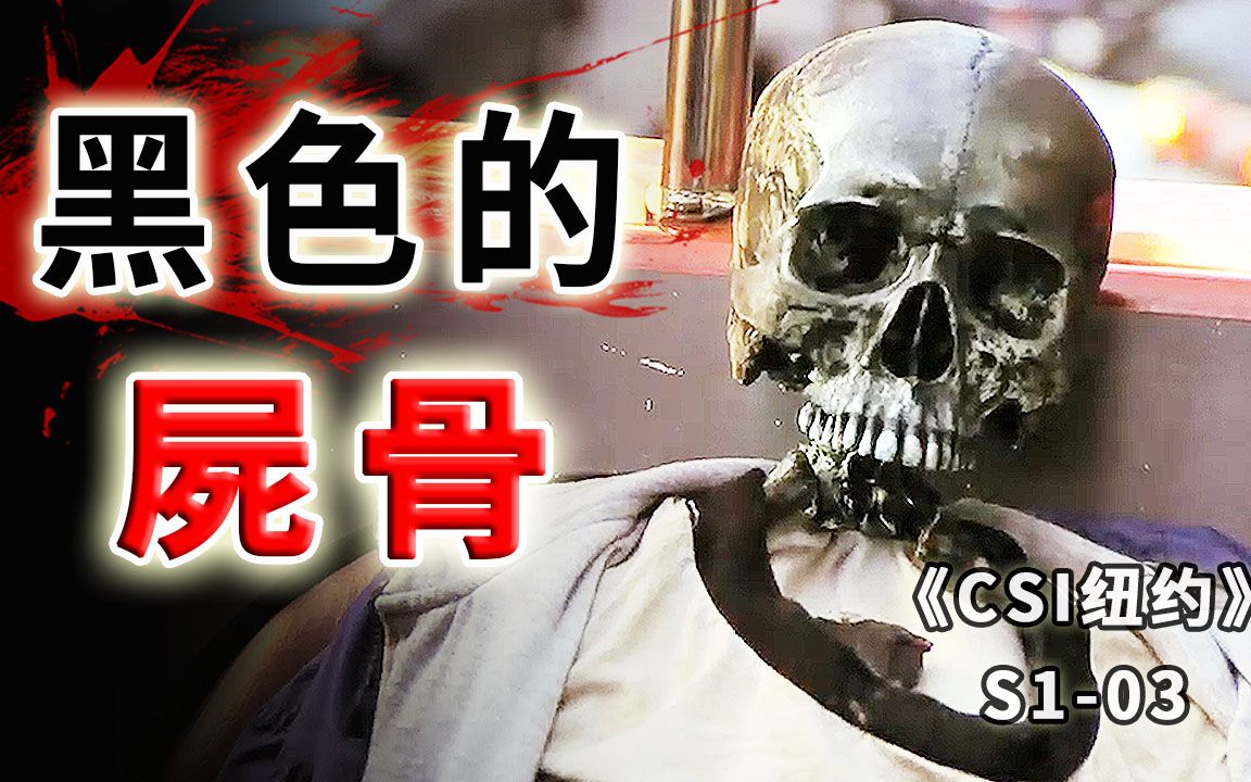 [图]年少轻狂去寻梦，化作枯骨无人知，惨死的无名氏少年《CSI纽约》S1-03