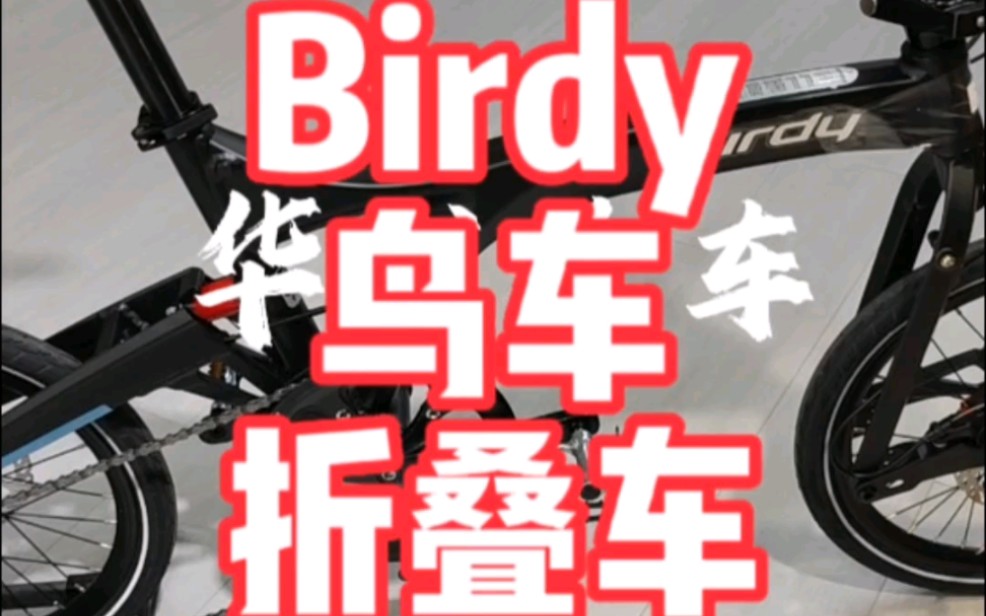 今日聊聊折叠车 德国Birdy鸟车折叠车 风光十几年 为啥?哔哩哔哩bilibili