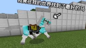 Minecraft 古有伯乐相马 今在mc辨马 如何在生存中找到好马 哔哩哔哩 つロ干杯 Bilibili