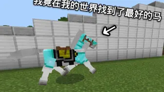 Minecraft 古有伯乐相马 今在mc辨马 如何在生存中找到好马 哔哩哔哩 Bilibili