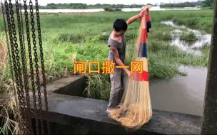 Descargar video: 户外撒网捕鱼