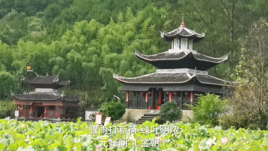 [图]骤雨打新荷·绿叶阴浓元好问  金朝绿叶阴浓，遍池亭水阁，偏趁凉多。海榴初绽，朵朵簇红罗。乳燕雏莺弄语，有高柳鸣蝉相和。骤雨过，似琼珠乱撒，打遍新荷。。。