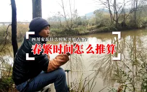 Video herunterladen: 中蜂春繁时间怎么推算，四川安岳什么时候开始春繁？请参考