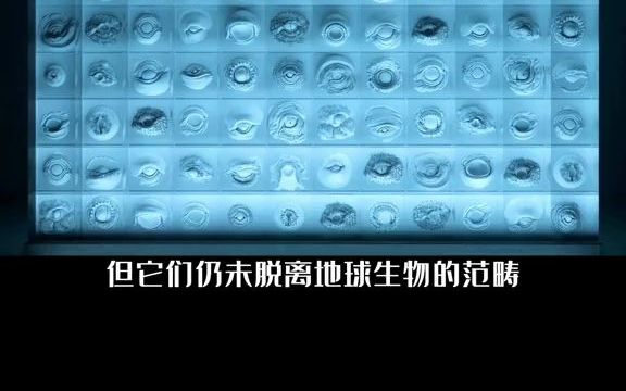 [图]【关于宇宙】外星生命博物馆Ⅱ硅基生命,或许是宇宙中最终极的生命形式。