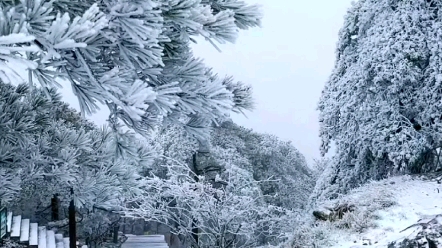 2022年11月30号12月5号黄山雪景哔哩哔哩bilibili