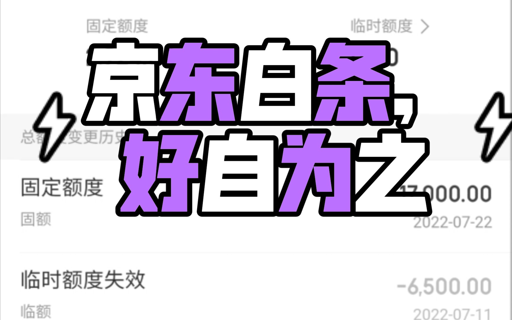 京东白条再见了您嘞哔哩哔哩bilibili