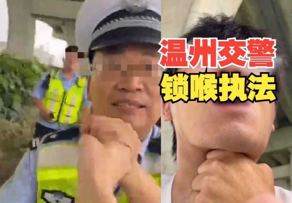 停职!警方通报“温州一交警锁喉当事人暴力执法”哔哩哔哩bilibili