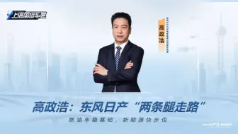【2025上海车展】先锋对话！东风日产高政浩：东风日产“两条腿走路”，燃油车稳基础，新能源快步伐