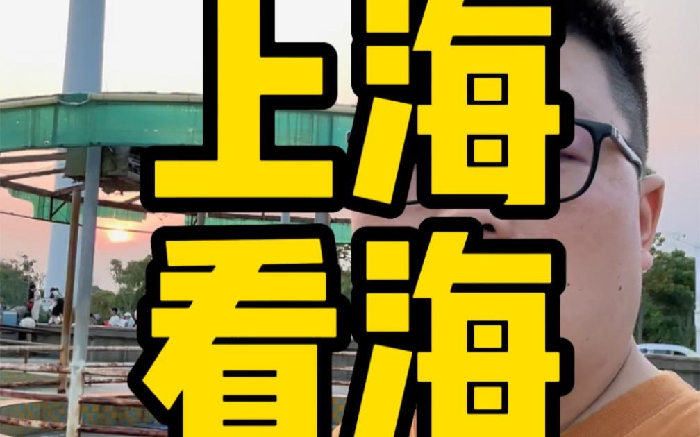 在上海终于看到海了,10多年啊,谁说上海没有海,哈哈#带你去看海 #周末去哪玩哔哩哔哩bilibili