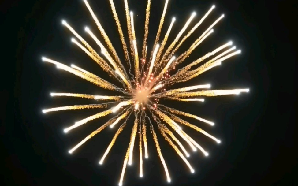 发发今年放的烟花(大尺寸礼花弹)