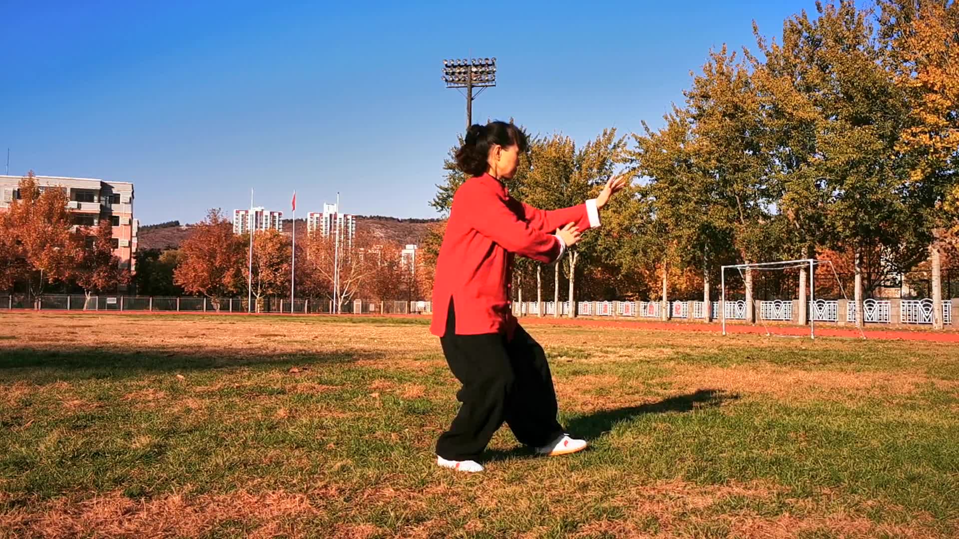 太极林正芳简历图片