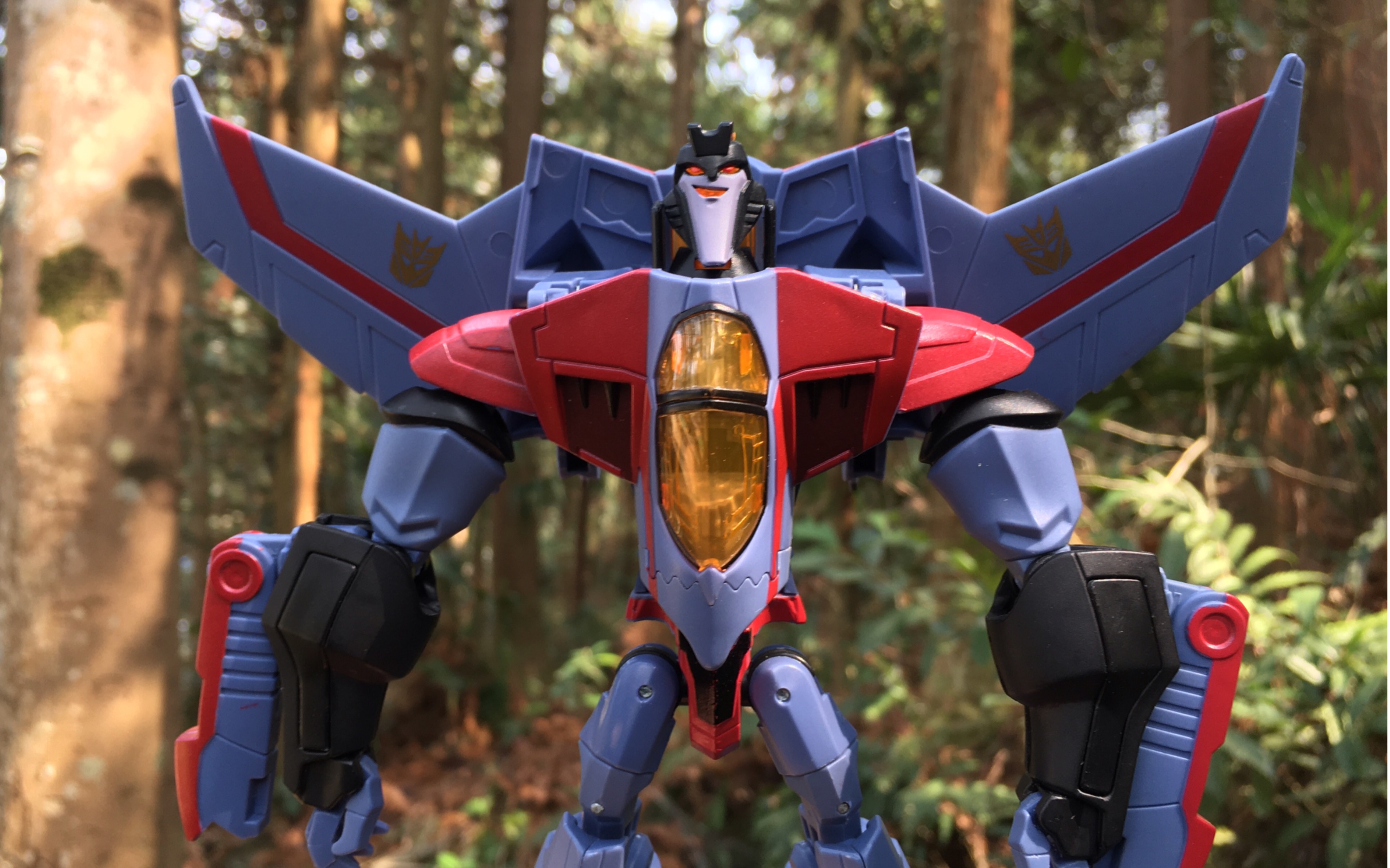 08动画 v级红蜘蛛 美版