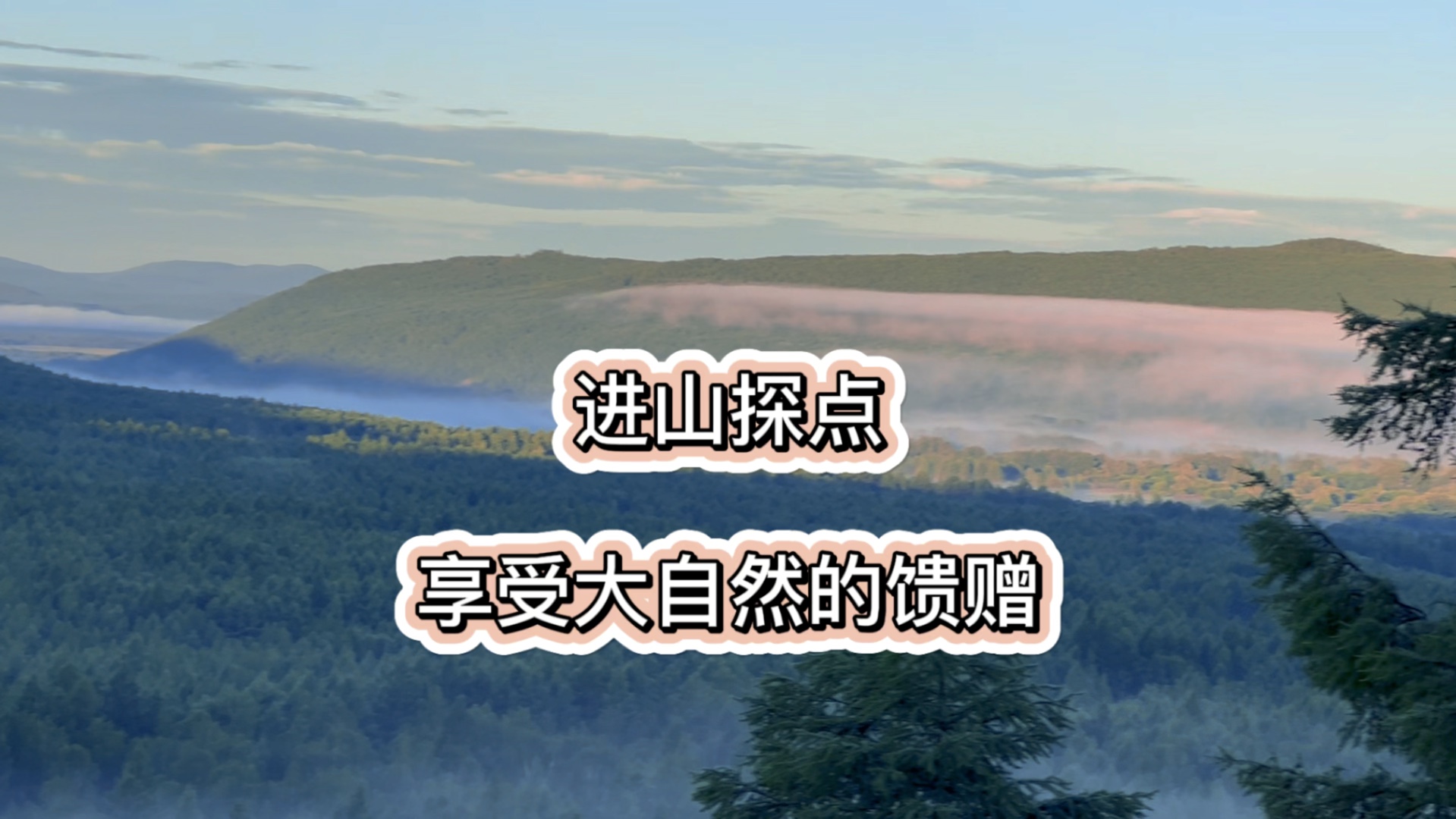 [图]陕南小夫妻在大兴安岭买房定居，想靠山吃山，先去探探点