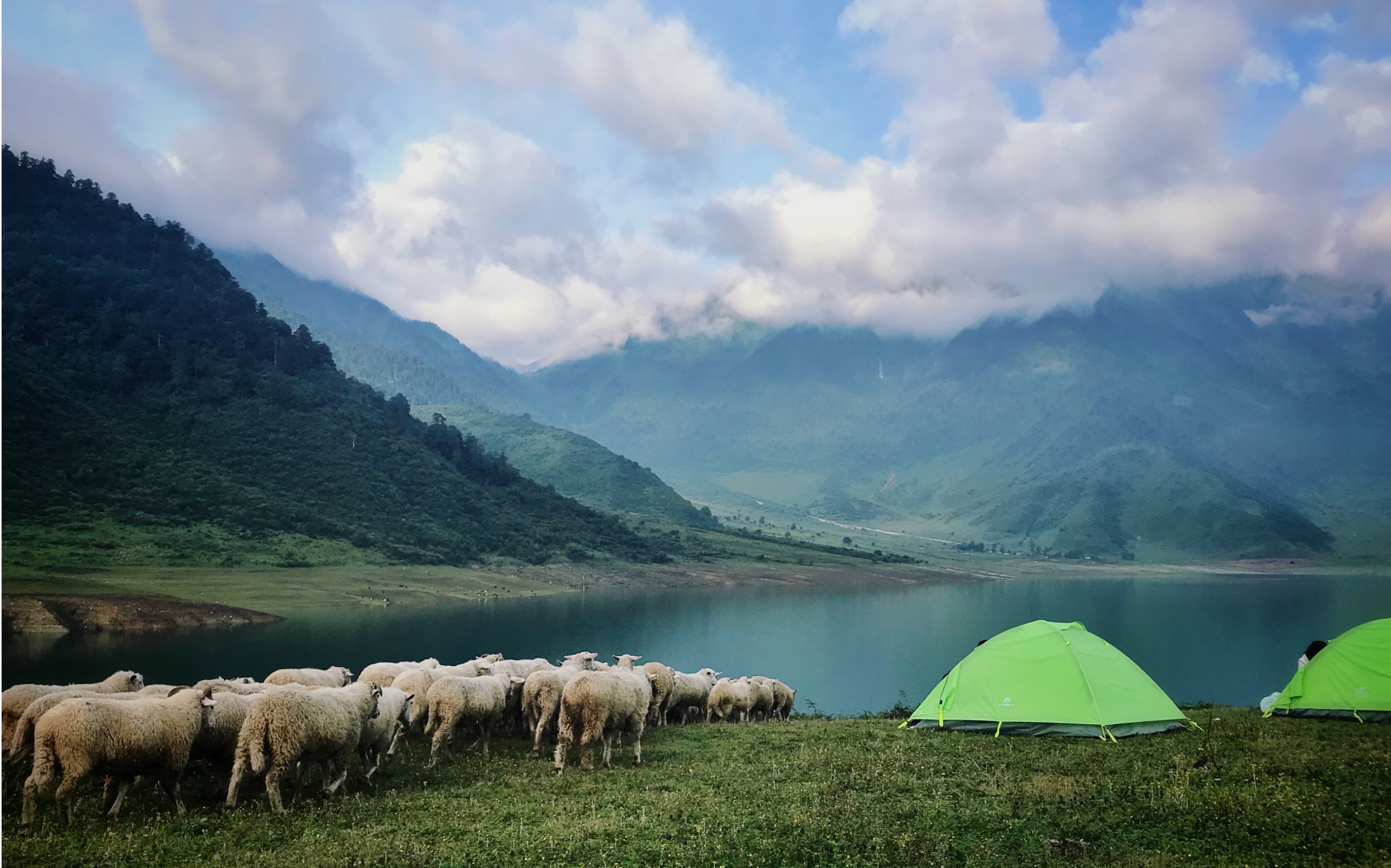 山河湖海,厨房与爱