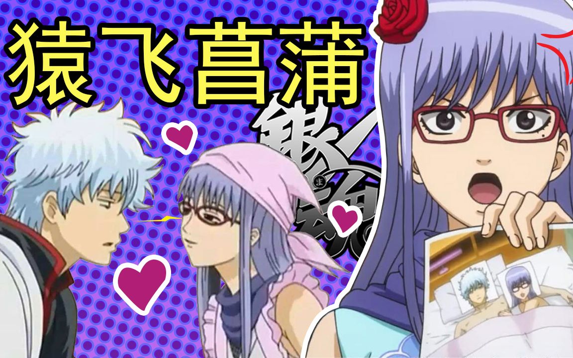 彩虹雨 | GINTAMA《银魂人物志11》大近视的眼镜妹,美女忍者和抖M的结合  猿飞菖蒲哔哩哔哩bilibili