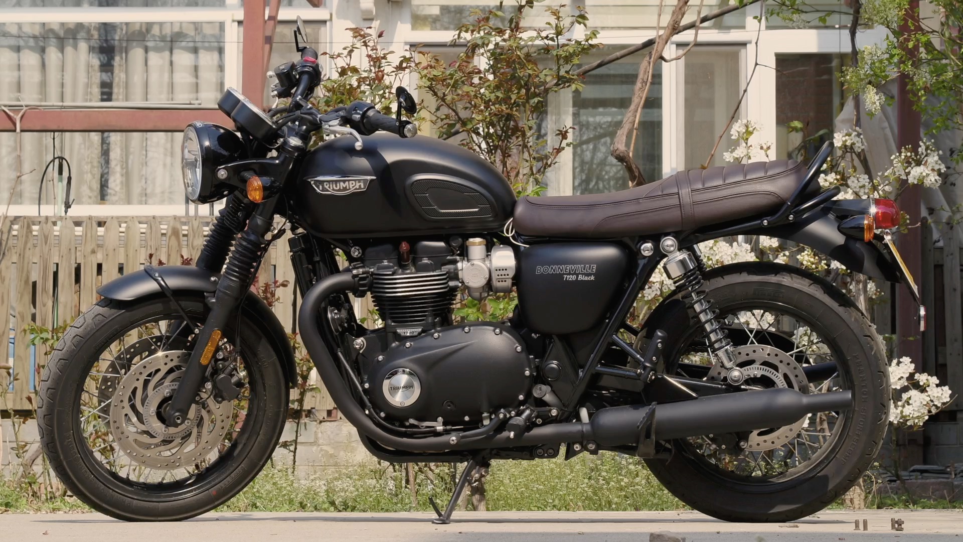 triumph t120 black_哔哩哔哩 (゜-゜)つロ 干杯~-bilibili