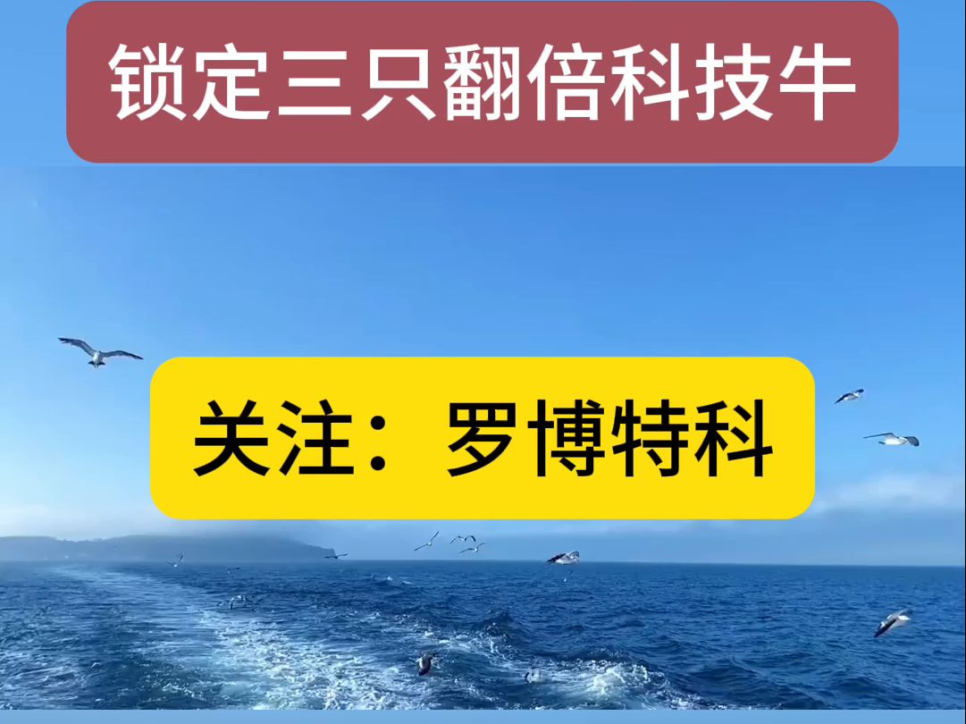 10月21日 周一科技主线,锁定这三家翻倍核心哔哩哔哩bilibili