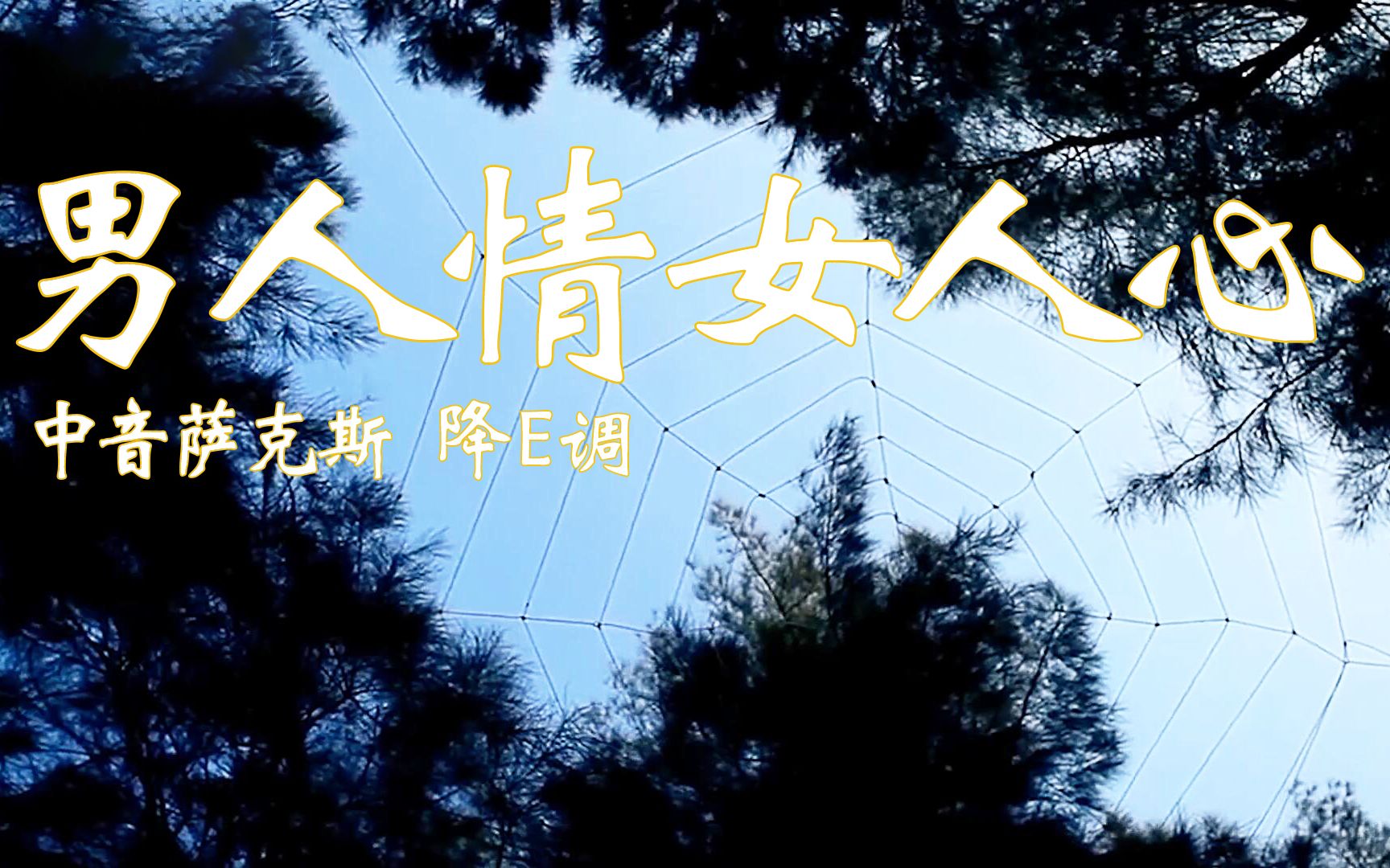 萨克斯一曲《男人情女人心》,深情婉转美妙悠扬,好听醉人心扉!