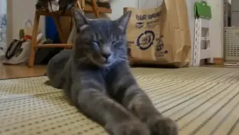 大宝剑 日本暗黑变态阿鲁夫如果和我猫咪身体互换 哔哩哔哩 Bilibili 大宝剑 日本暗黑变态阿鲁夫如果和我猫咪身体互换 哔哩哔哩 Bilibili