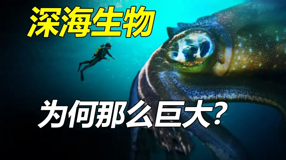 深海怪物为什么都长得那么大？海底10000米有什么生物？_哔哩哔哩_bilibili