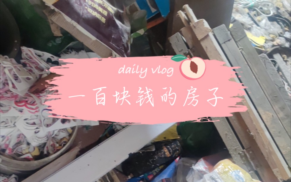 在宁波租一百块钱一个月的房子哔哩哔哩bilibili