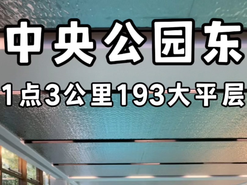 合肥骆岗中央公园东边1点3公里置地193一梯一户大平层600万起#合肥大平层哔哩哔哩bilibili